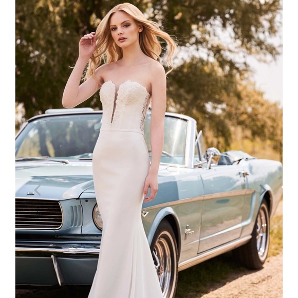 Mikaella 2285 Wedding Dress (custom) - Picture 1 of 4